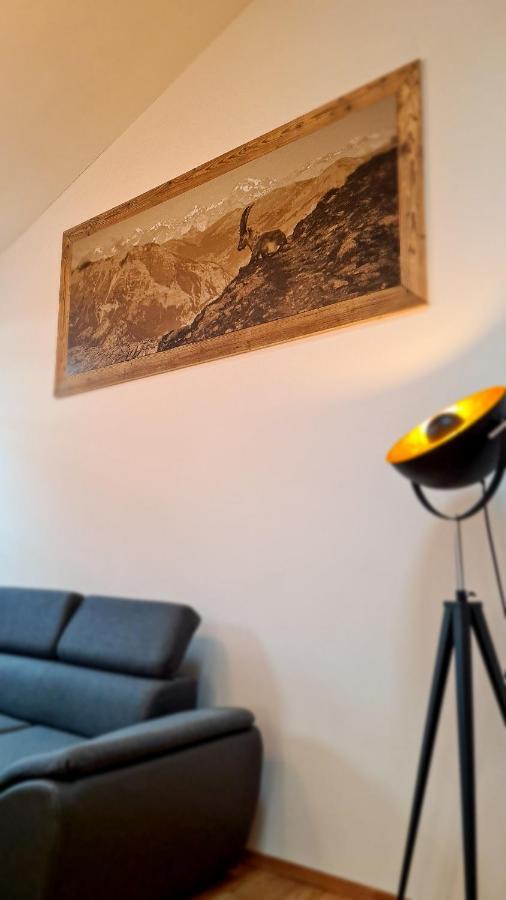 Appartementhaus Zell City By All In One Apartments زيل أم سي المظهر الخارجي الصورة