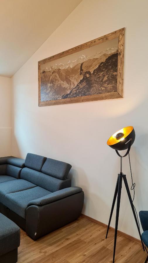Appartementhaus Zell City By All In One Apartments زيل أم سي المظهر الخارجي الصورة